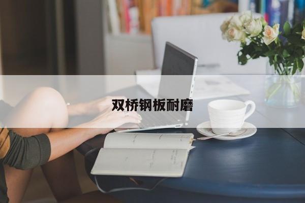 雙橋鋼板耐磨
