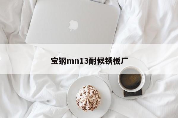 寶鋼mn13耐候銹板廠